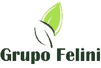 logo felini